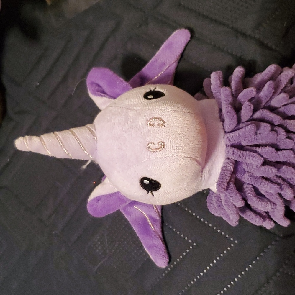 Norwex Pet to Dry